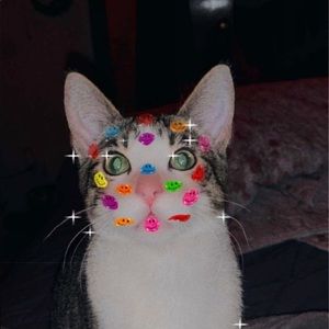 Meet your Posher, April